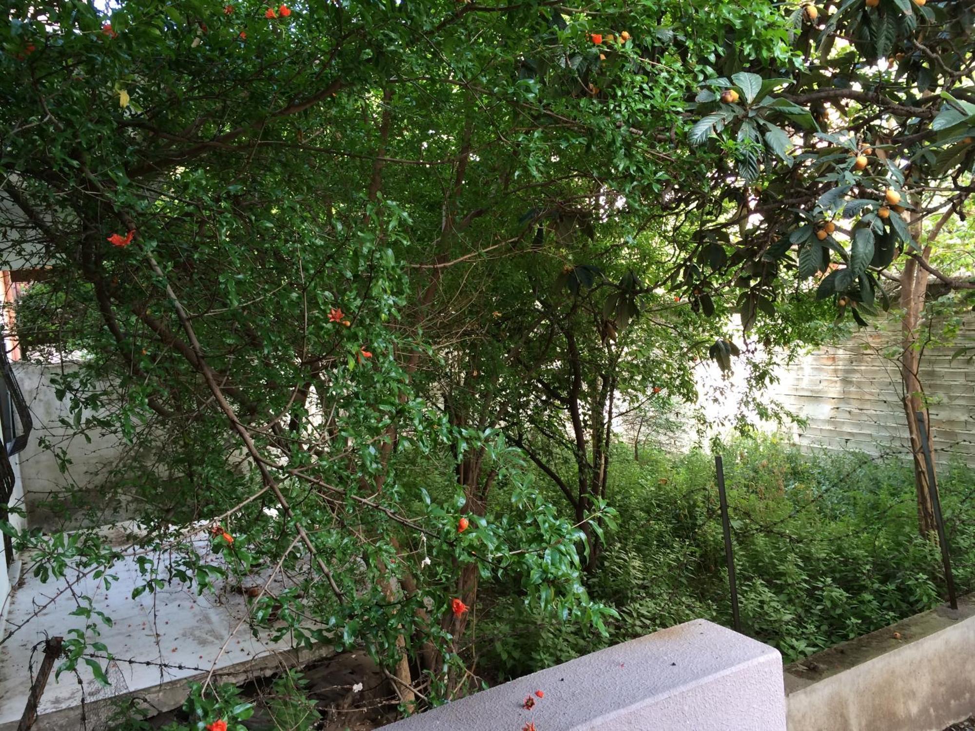 Konakli Apartments Izmir Exterior photo